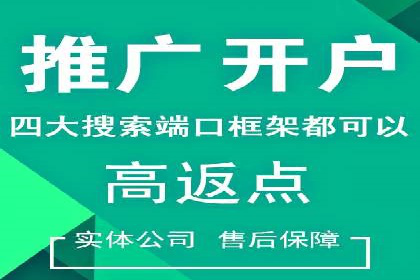SEM代运营案例分析：精准投放策略解析
